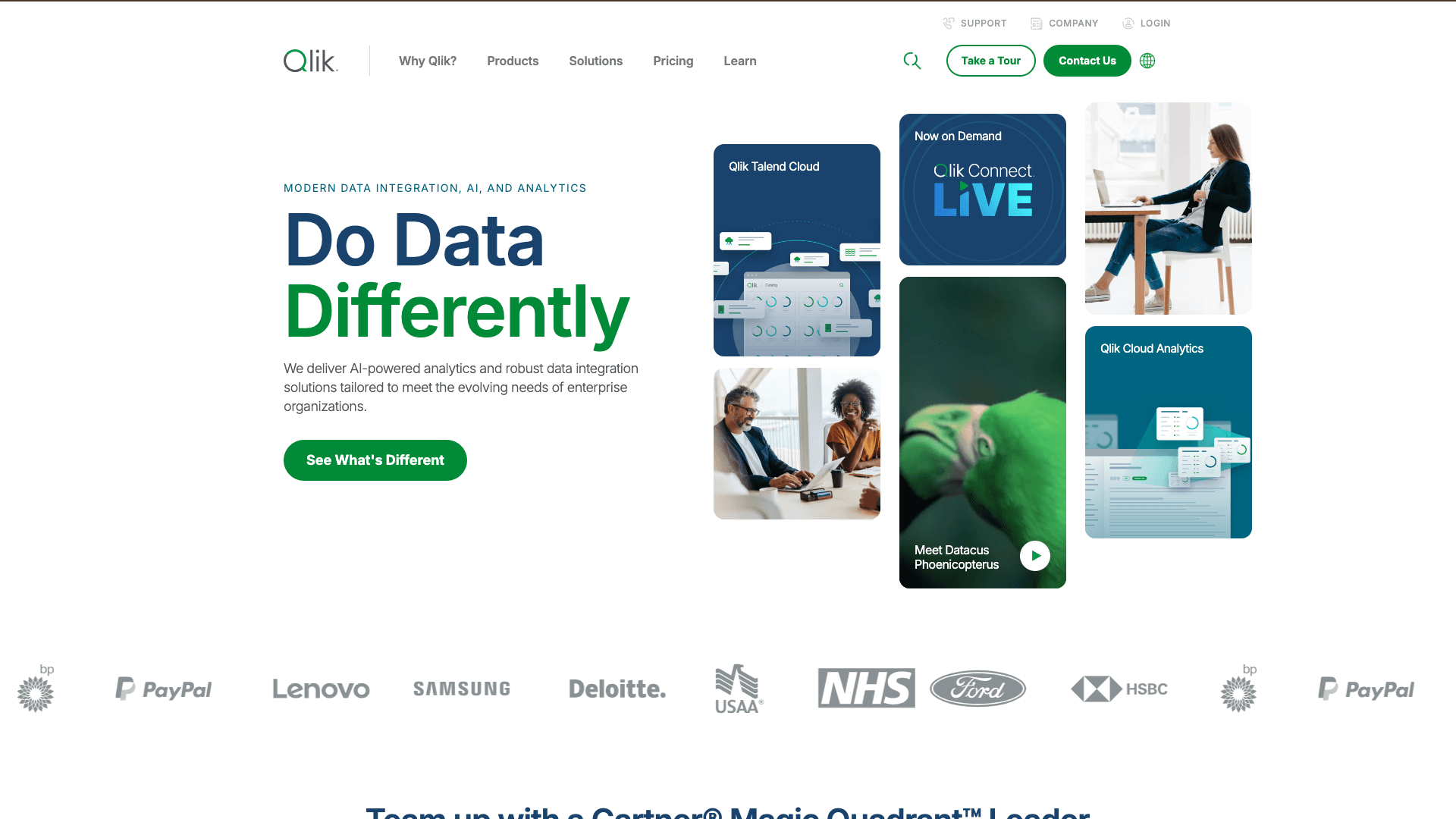 Qlik