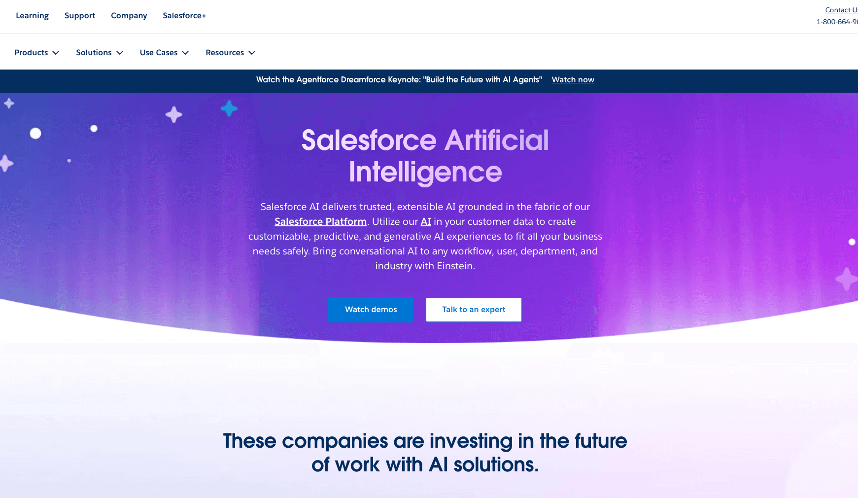 Salesforce Einstein