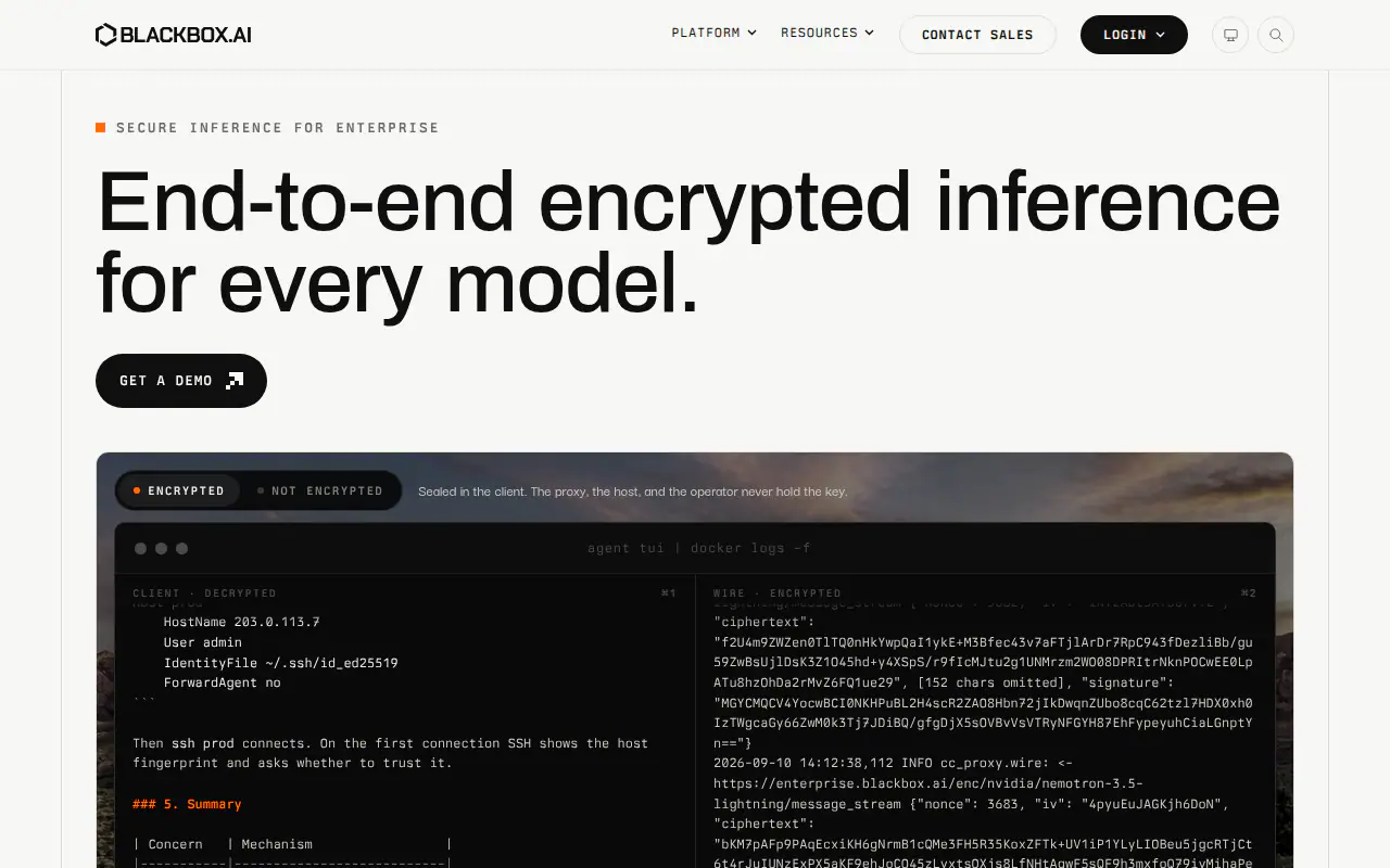 Blackbox AI